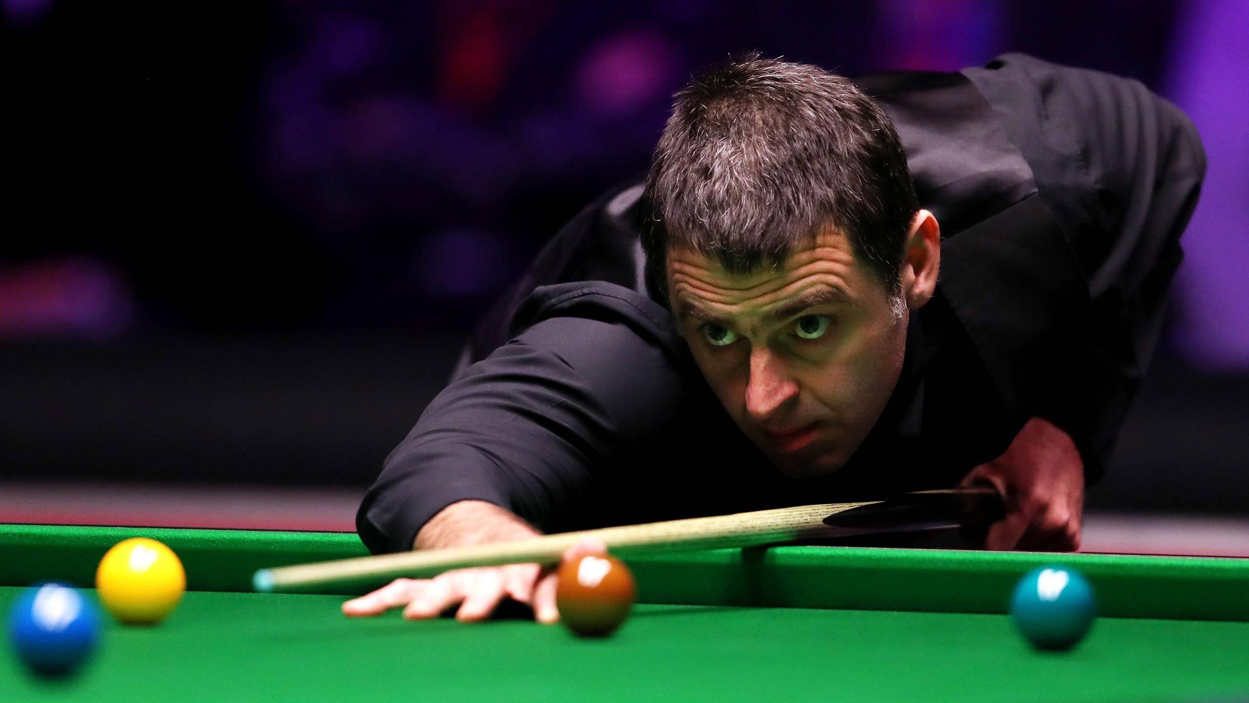 留在欧洲 留在欧洲