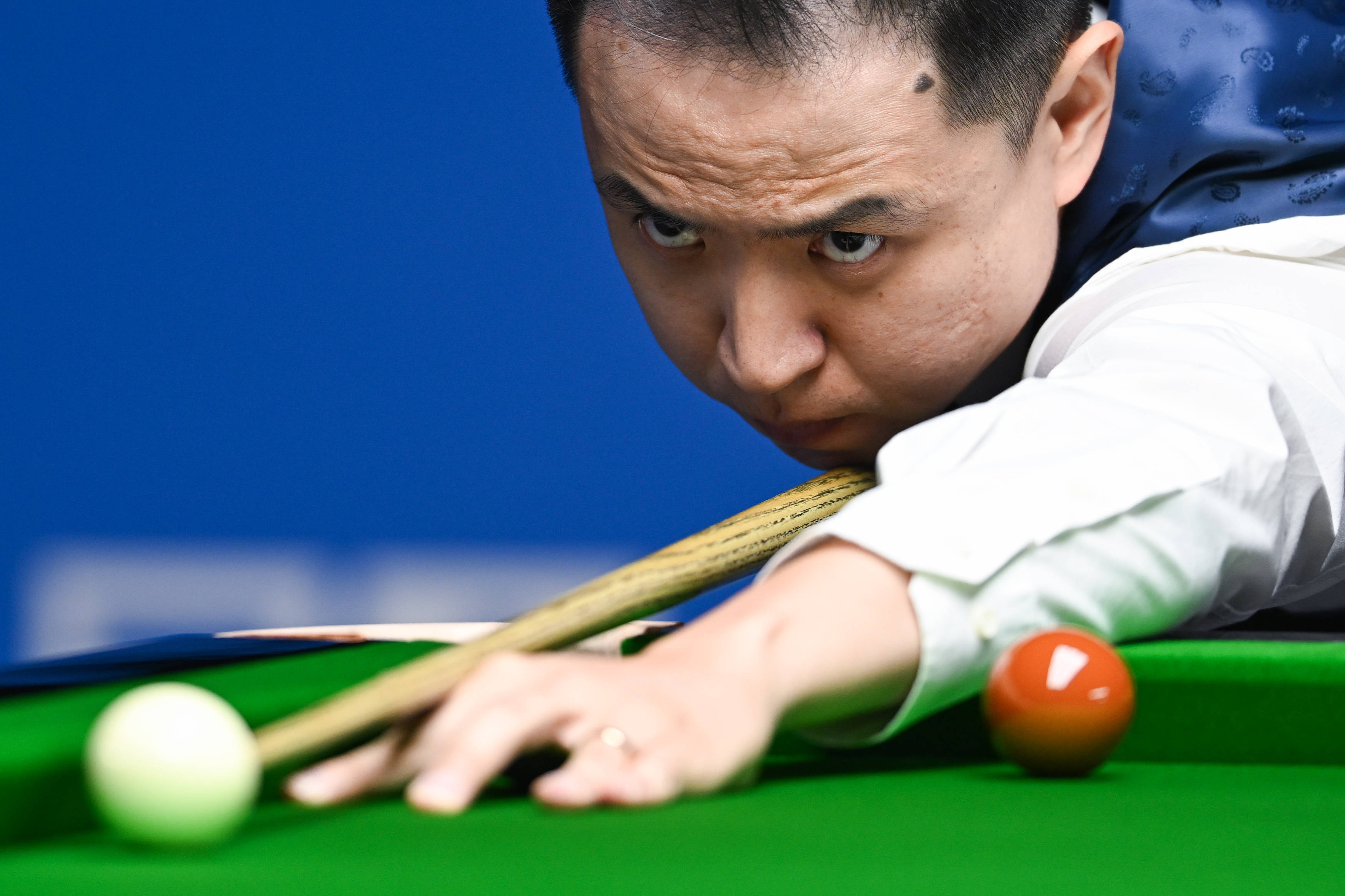 端球鞋的毛 端球鞋的毛