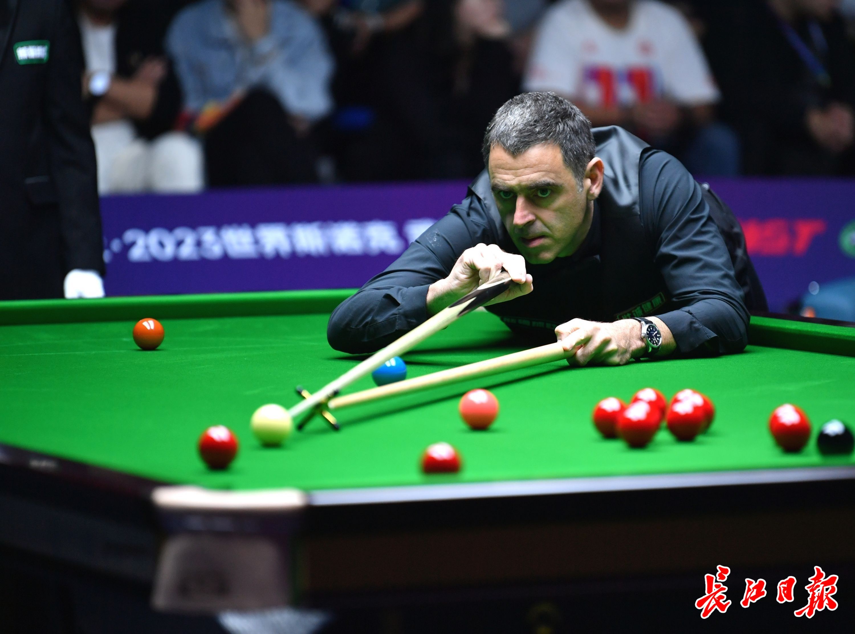 分档避碰